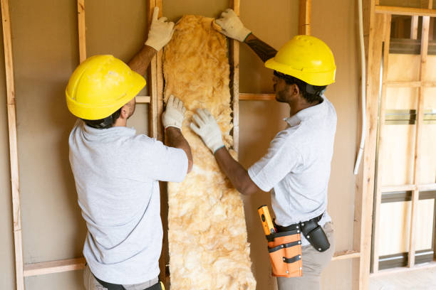 Best Batt and Roll Insulation  in Cheval, FL